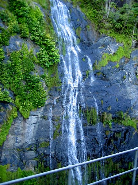 A 417 Vue du Kuranda Railway.jpg